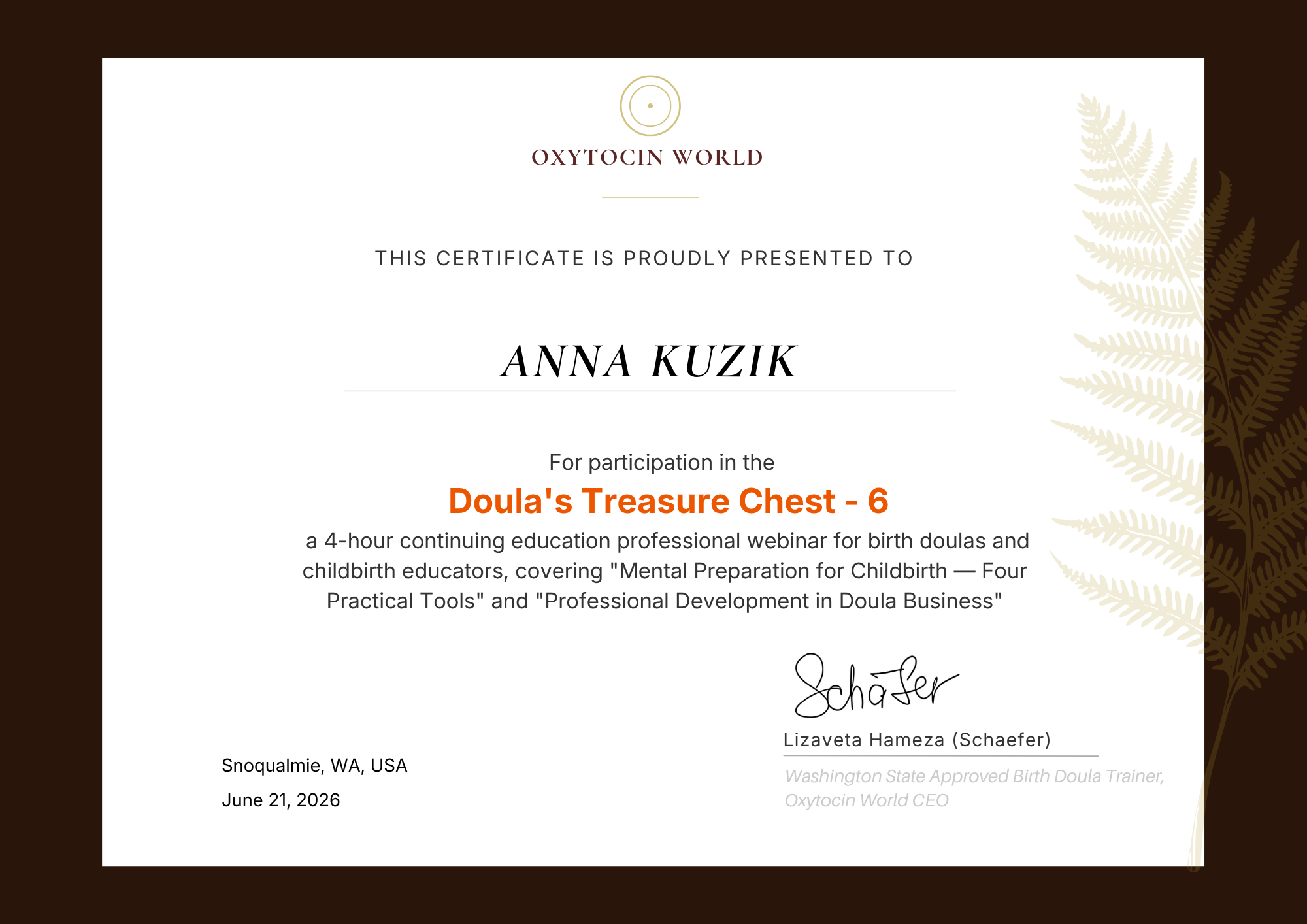 Doula Treasure Chest 6 Certificate